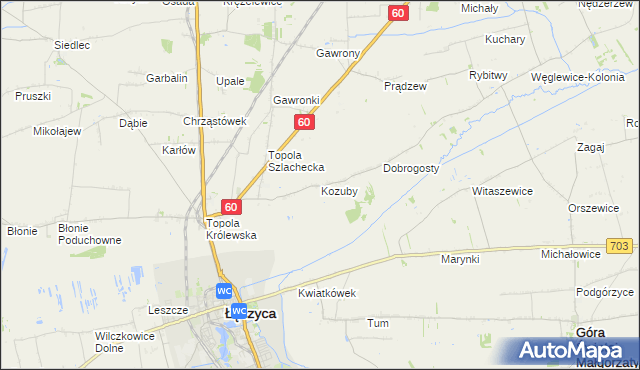 mapa Kozuby gmina Łęczyca, Kozuby gmina Łęczyca na mapie Targeo