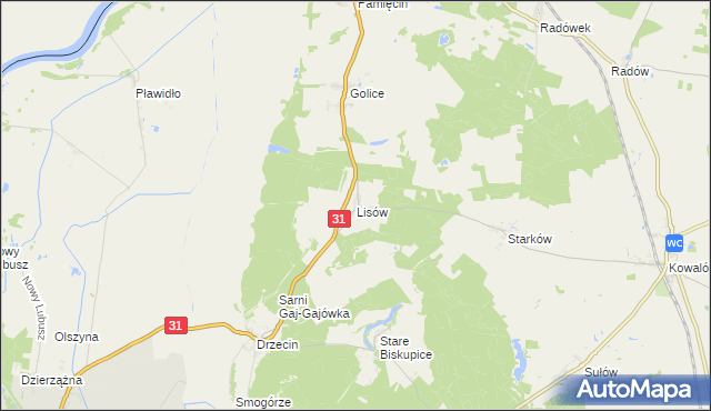 mapa Lisów gmina Słubice, Lisów gmina Słubice na mapie Targeo