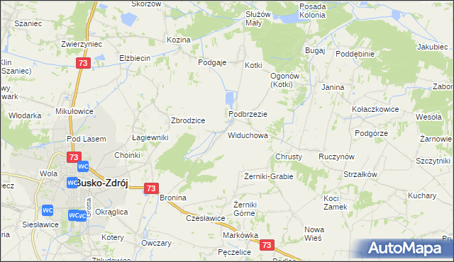 mapa Widuchowa gmina Busko-Zdrój, Widuchowa gmina Busko-Zdrój na mapie Targeo