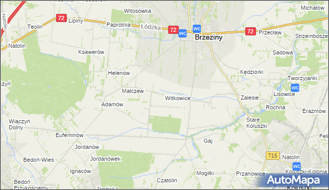 mapa Witkowice gmina Brzeziny, Witkowice gmina Brzeziny na mapie Targeo