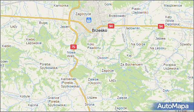 mapa Okocim, Okocim na mapie Targeo