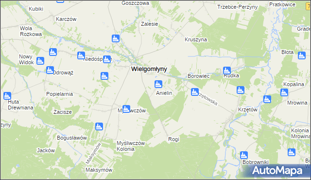 mapa Anielin gmina Wielgomłyny, Anielin gmina Wielgomłyny na mapie Targeo