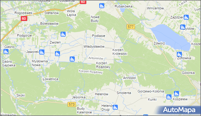 mapa Antoninów gmina Łąck, Antoninów gmina Łąck na mapie Targeo