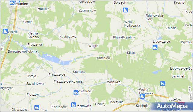 mapa Antoniów gmina Kodrąb, Antoniów gmina Kodrąb na mapie Targeo