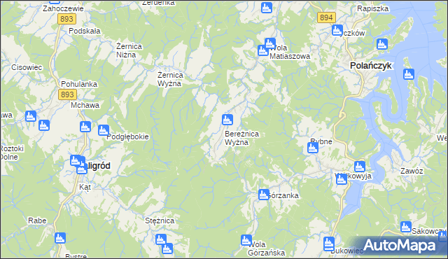 mapa Bereżnica Wyżna, Bereżnica Wyżna na mapie Targeo