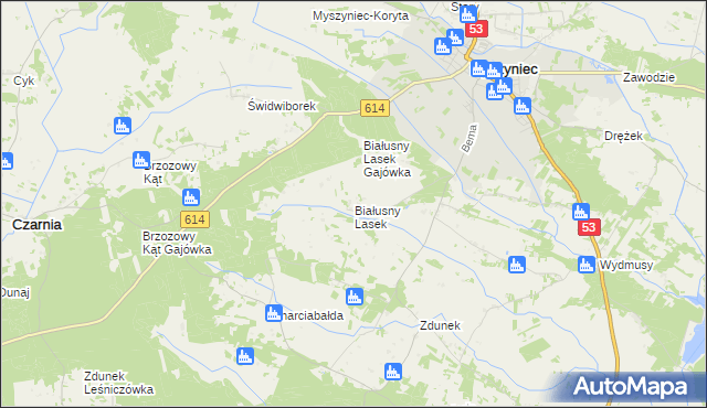 mapa Białusny Lasek, Białusny Lasek na mapie Targeo