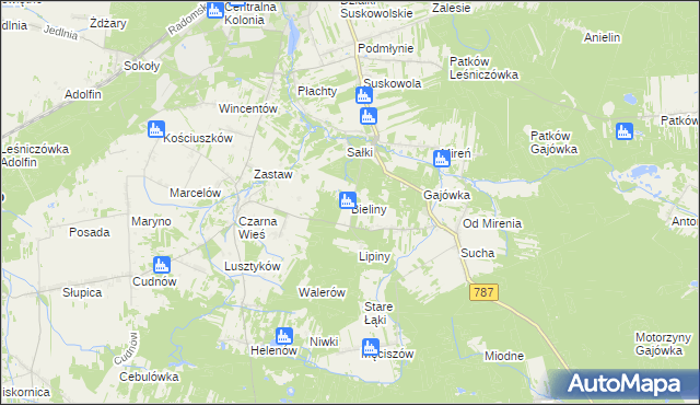 mapa Bieliny gmina Pionki, Bieliny gmina Pionki na mapie Targeo