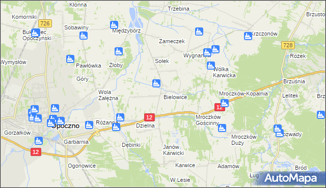 mapa Bielowice gmina Opoczno, Bielowice gmina Opoczno na mapie Targeo