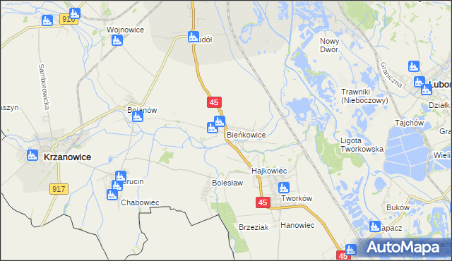 mapa Bieńkowice gmina Krzyżanowice, Bieńkowice gmina Krzyżanowice na mapie Targeo