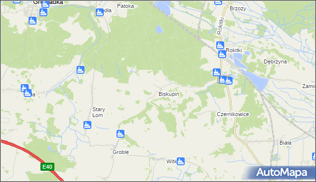 mapa Biskupin gmina Chojnów, Biskupin gmina Chojnów na mapie Targeo