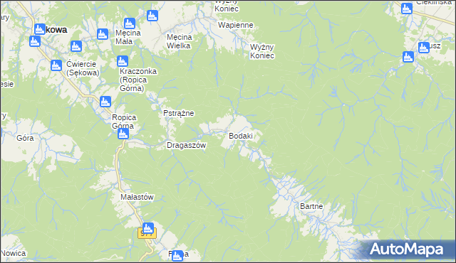 mapa Bodaki gmina Sękowa, Bodaki gmina Sękowa na mapie Targeo