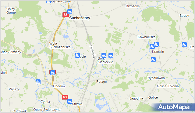 mapa Borki Siedleckie, Borki Siedleckie na mapie Targeo
