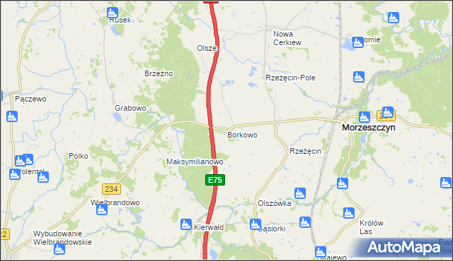 mapa Borkowo gmina Morzeszczyn, Borkowo gmina Morzeszczyn na mapie Targeo