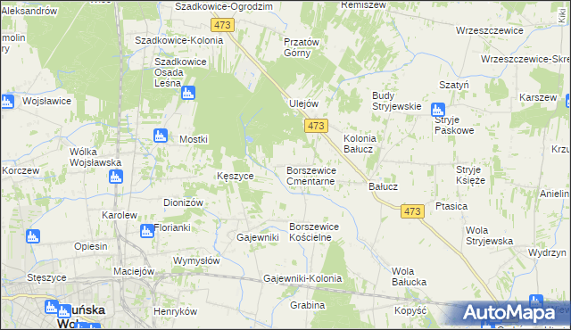 mapa Borszewice Cmentarne, Borszewice Cmentarne na mapie Targeo