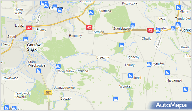 mapa Brzeziny gmina Praszka, Brzeziny gmina Praszka na mapie Targeo
