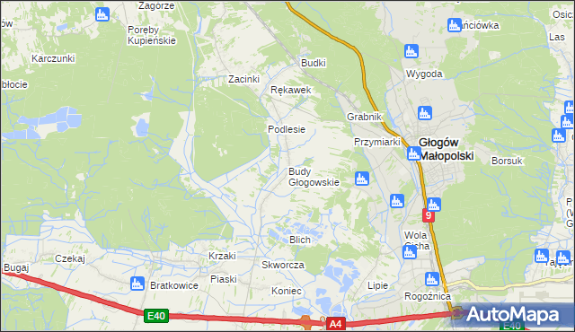 mapa Budy Głogowskie, Budy Głogowskie na mapie Targeo