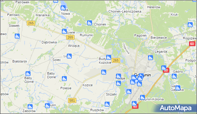 mapa Budy Kozickie, Budy Kozickie na mapie Targeo
