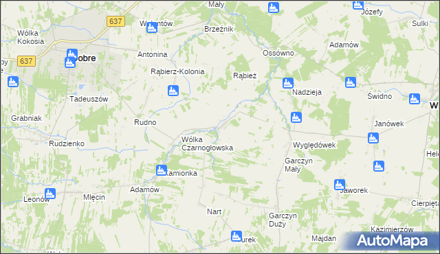 mapa Czarnogłów, Czarnogłów na mapie Targeo