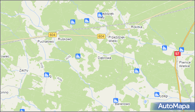 mapa Dąbrowa gmina Wielbark, Dąbrowa gmina Wielbark na mapie Targeo