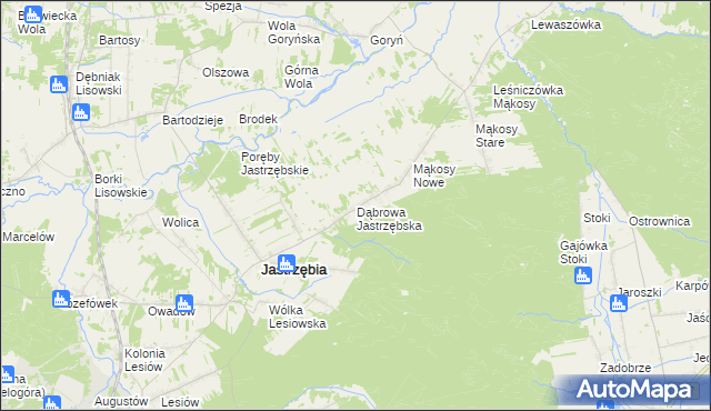 mapa Dąbrowa Jastrzębska, Dąbrowa Jastrzębska na mapie Targeo