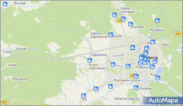 mapa Dąbrowica gmina Biłgoraj, Dąbrowica gmina Biłgoraj na mapie Targeo