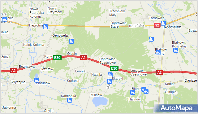 mapa Dąbrowice Częściowe, Dąbrowice Częściowe na mapie Targeo
