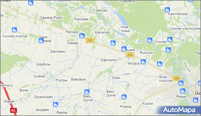 mapa Dąbrówka gmina Gostynin, Dąbrówka gmina Gostynin na mapie Targeo