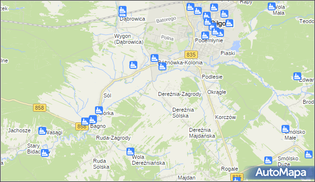 mapa Dereźnia-Zagrody, Dereźnia-Zagrody na mapie Targeo