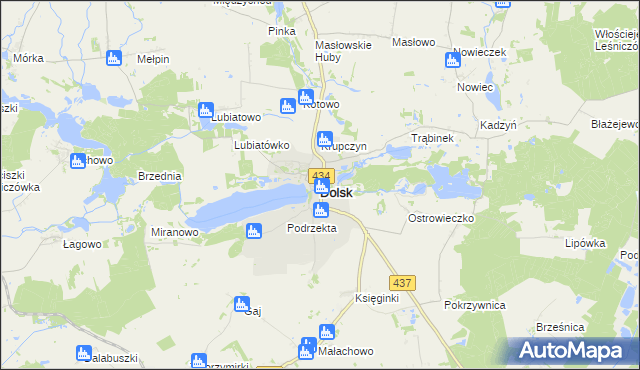 mapa Dolsk powiat śremski, Dolsk powiat śremski na mapie Targeo