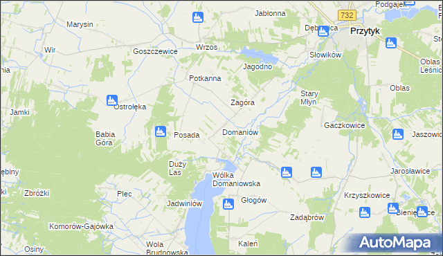 mapa Domaniów gmina Przytyk, Domaniów gmina Przytyk na mapie Targeo