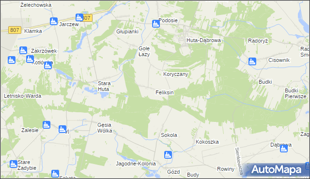 mapa Feliksin gmina Krzywda, Feliksin gmina Krzywda na mapie Targeo
