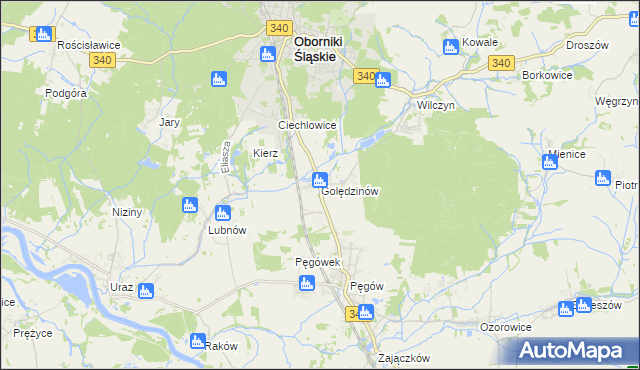 mapa Golędzinów, Golędzinów na mapie Targeo