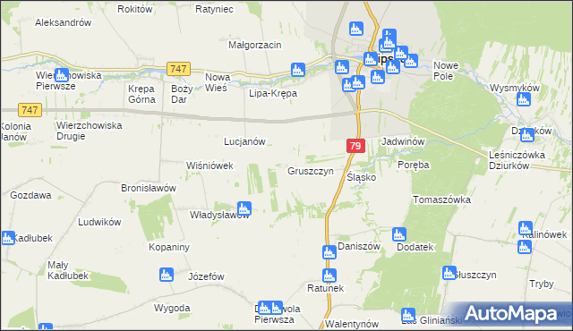 mapa Gruszczyn gmina Lipsko, Gruszczyn gmina Lipsko na mapie Targeo