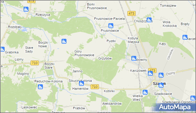 mapa Grzybów gmina Szadek, Grzybów gmina Szadek na mapie Targeo