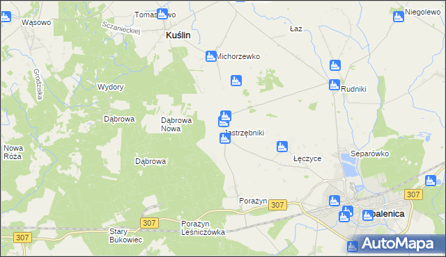 mapa Jastrzębniki gmina Opalenica, Jastrzębniki gmina Opalenica na mapie Targeo