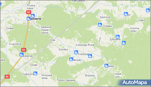mapa Kołodziąż-Rybie, Kołodziąż-Rybie na mapie Targeo