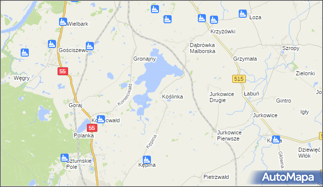 mapa Koślinka gmina Sztum, Koślinka gmina Sztum na mapie Targeo