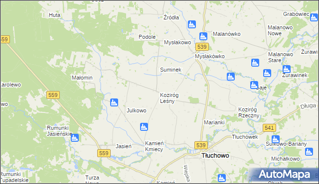 mapa Koziróg Leśny, Koziróg Leśny na mapie Targeo