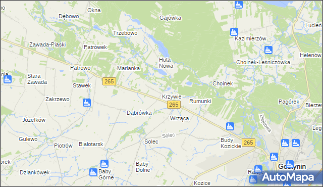 mapa Krzywie gmina Gostynin, Krzywie gmina Gostynin na mapie Targeo