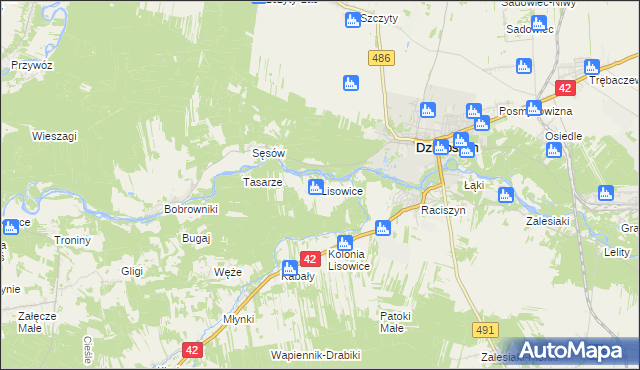 mapa Lisowice gmina Działoszyn, Lisowice gmina Działoszyn na mapie Targeo