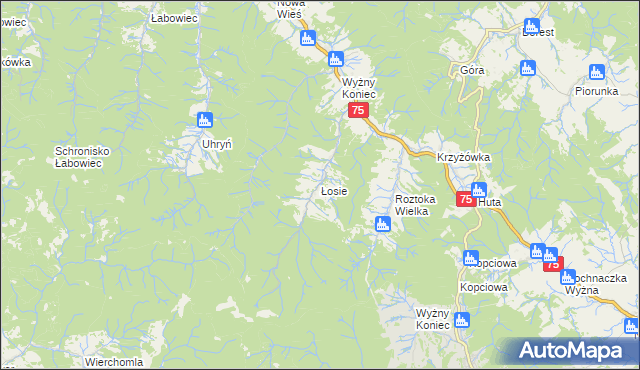 mapa Łosie gmina Łabowa, Łosie gmina Łabowa na mapie Targeo