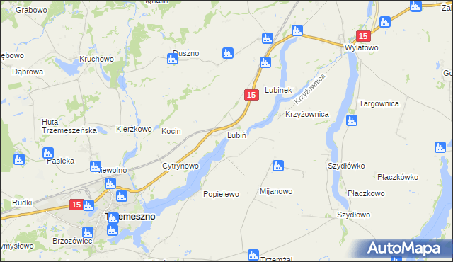 mapa Lubiń gmina Trzemeszno, Lubiń gmina Trzemeszno na mapie Targeo