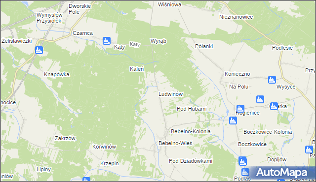 mapa Ludwinów gmina Włoszczowa, Ludwinów gmina Włoszczowa na mapie Targeo