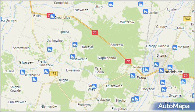 mapa Napoleonów gmina Poddębice, Napoleonów gmina Poddębice na mapie Targeo