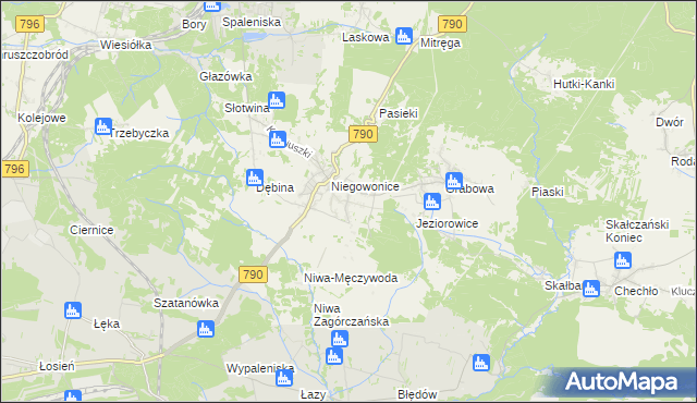 mapa Niegowoniczki, Niegowoniczki na mapie Targeo