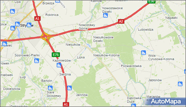 mapa Niesułków-Kolonia, Niesułków-Kolonia na mapie Targeo