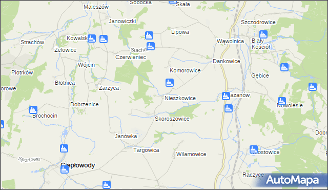 mapa Nieszkowice gmina Strzelin, Nieszkowice gmina Strzelin na mapie Targeo
