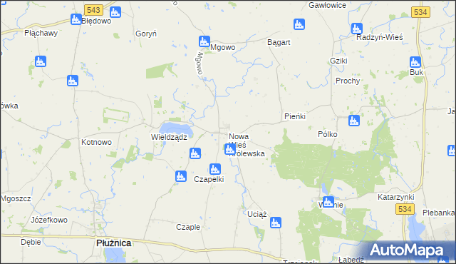 mapa Nowa Wieś Królewska gmina Płużnica, Nowa Wieś Królewska gmina Płużnica na mapie Targeo