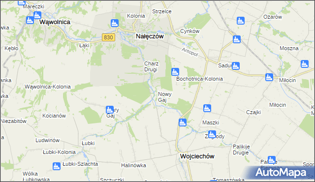 mapa Nowy Gaj gmina Wojciechów, Nowy Gaj gmina Wojciechów na mapie Targeo