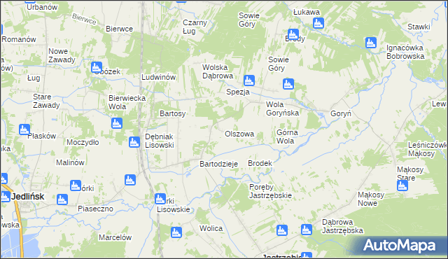 mapa Olszowa gmina Jastrzębia, Olszowa gmina Jastrzębia na mapie Targeo